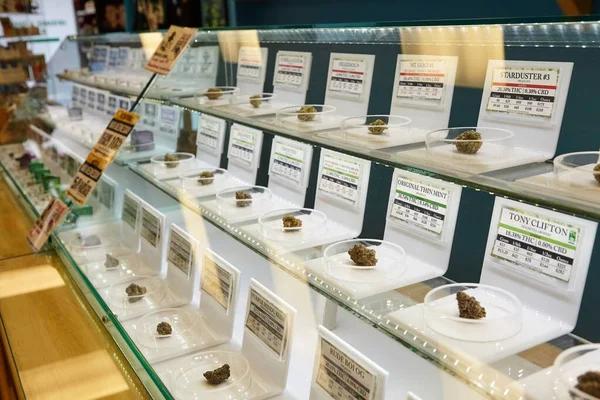 Exploring the Hottest New Dispensaries in Las Vegas